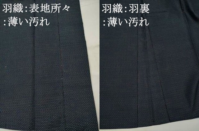 平和屋着物■男性　本場大島紬　アンサンブル　80亀甲　総詰め　正絹　逸品　AABH3410st