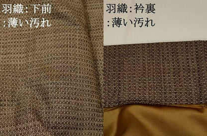 平和屋着物■男性　本場大島紬　アンサンブル　100亀甲　正絹　逸品　AABH3424st