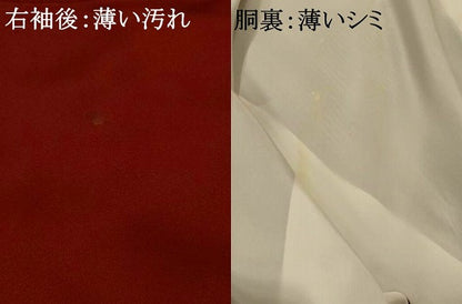 平和屋着物■訪問着 横段花文 金彩 正絹 逸品 AABH3435st