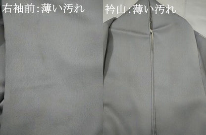 平和屋着物■訪問着　草花文　暈し染め　正絹　逸品　AABH3450st