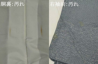 平和屋着物■江戸小紋 寄せ小紋柄 正絹 逸品 AABH3453st