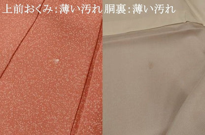 平和屋着物■訪問着　枝花文　暈し染め　金彩　正絹　逸品　AABH3470st