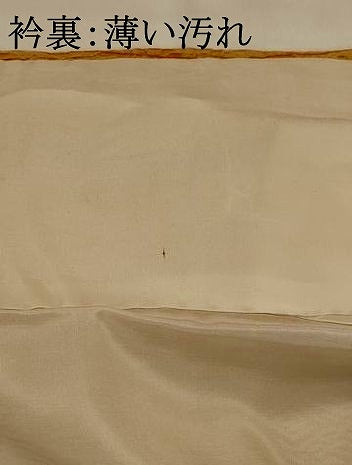 平和屋着物■上質な小紋 立涌文様 正絹 逸品 AABH3495st