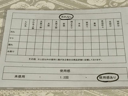 平和屋着物◎六通柄袋帯　唐織　花菱文　銀糸　正絹　逸品　AABH3581ou