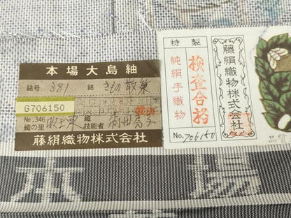 平和屋着物●都喜ヱ門　本場大島紬　白大島　一元7マルキ　手織り　総絣　きもの散策　証紙付き　藤絹織物謹製　正絹　逸品　AABH3606cs