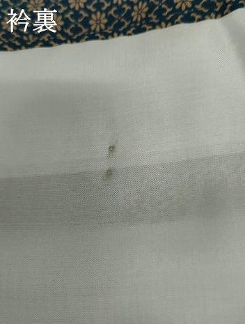 平和屋着物●上質な小紋　花尽くし　正絹　逸品　未使用　AABH3678cs