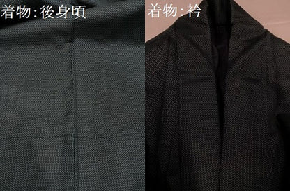平和屋着物●男性　紬　アンサンブル　亀甲柄　正絹　逸品　AABH3816ph