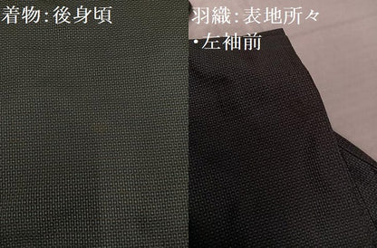 平和屋着物●男性　本場大島紬　アンサンブル　100亀甲　総詰め　正絹　逸品　AABH3817ph