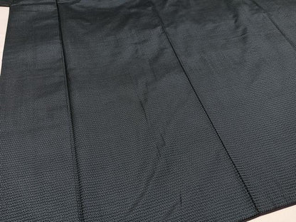 平和屋着物●男性　本場大島紬　アンサンブル　100亀甲　総詰め　正絹　逸品　AABH3818ph