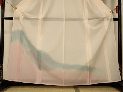 平和屋着物＊夏物 訪問着 絽 風景文 暈し染め 正絹 逸品 AABH3881jd