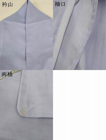 平和屋着物＊夏物　訪問着　絽　花車文　洗える着物　AABH3900jd