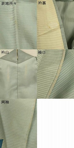 平和屋着物＊夏物 訪問着 絽 白鳥 正絹 逸品 AABH3913jd