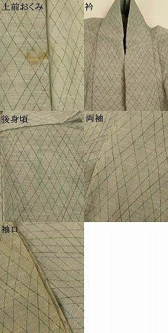 平和屋着物＊夏物 小紋 紗 格子 AABH3932jd