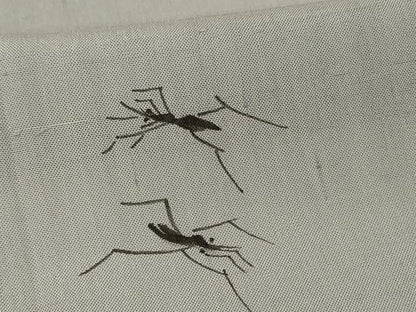 平和屋着物＊夏物 小紋 紗 あめんぼ 正絹 逸品 AABH3950jd