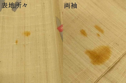 平和屋着物＊夏物 訪問着 生紬 手描き 草花文 正絹 逸品 AABH3952jd
