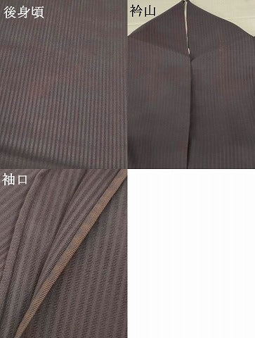 平和屋着物＊夏物 訪問着 紗 勝虫 銀糸 正絹 逸品 AABH3955jd