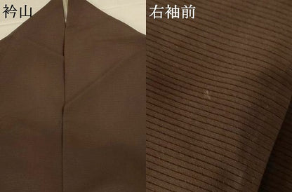 平和屋着物＊夏物 訪問着 絽 短冊草花文 金銀彩 正絹 逸品 AABH3974jd