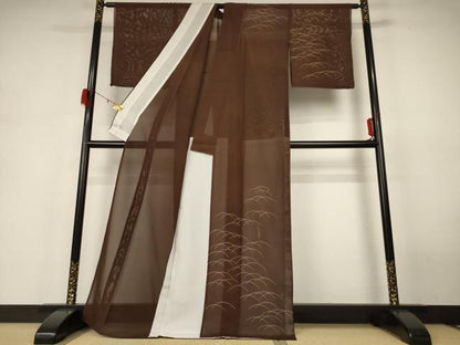 平和屋着物＊夏物　訪問着　絽　芝文　正絹　逸品　AABH4017jd
