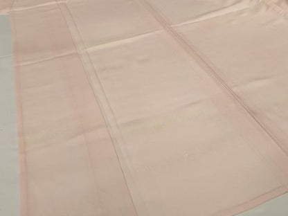 平和屋着物＊夏物 小紋 絽 箔散らし文 金銀彩 正絹 逸品 未使用 AABH4020jd