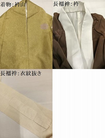 平和屋着物●小振袖　二尺袖・長襦袢(袷)セット　本場大島紬　染大島　枝花文　暈し染め　金彩　正絹　逸品　AABH4066ph