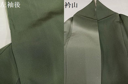 平和屋着物●訪問着　枝垂れ花文　暈し染め　金彩　正絹　逸品　AABH4071ph