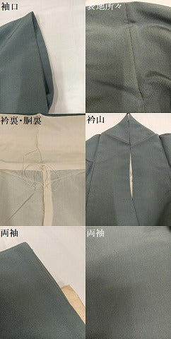 平和屋着物●豪華色留袖　枝菊　金彩　小大丸扱い　たとう紙付き　正絹　逸品　AABH4124ph