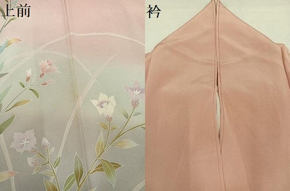 平和屋着物●訪問着　友禅　草花文　暈し染め　正絹　逸品　未使用　AABH4144ph