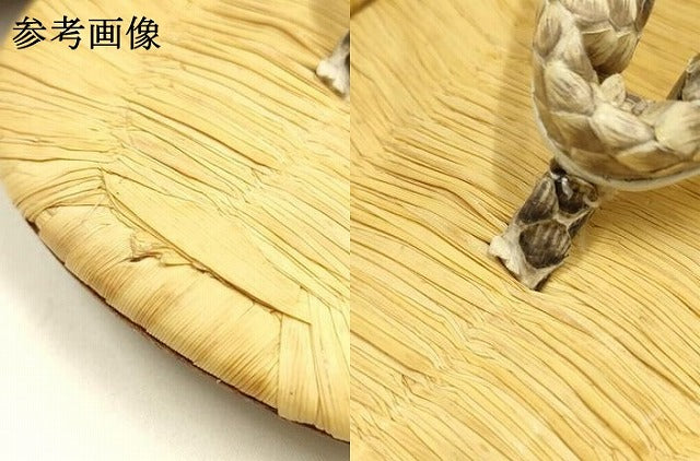 平和屋着物●男性　和装小物　雪駄　畳表　鼻緒:蛇皮　牛革底　スネークスキン　逸品　AABH4296ay