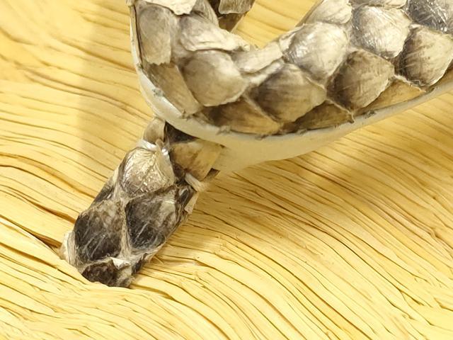 平和屋着物●男性　和装小物　雪駄　畳表　鼻緒:蛇皮　牛革底　スネークスキン　逸品　AABH4296ay