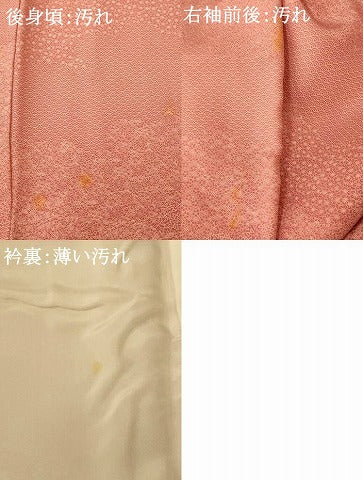 平和屋着物■江戸小紋 草花雲取り文 正絹 逸品 AABH4444fw