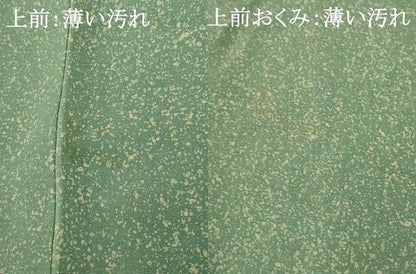 平和屋着物■豪華色留袖　刺繍　枝花竹文　たたき染め　金糸　正絹　逸品　AABH4447fw
