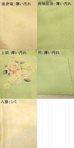 平和屋着物■訪問着 孔雀枝花文 暈し染め 金銀彩 正絹 逸品 AABH4449fw