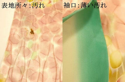平和屋着物■訪問着 立涌大小霰文 正絹 逸品 AABH4456fw