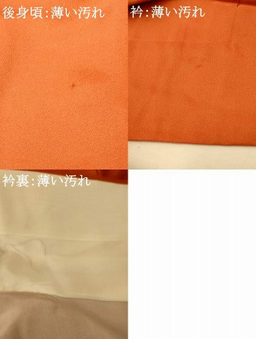 平和屋着物■訪問着　駒刺繍　花鳥七宝文　暈し染め　金彩　正絹　逸品　AABH4464fw