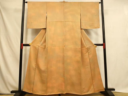 平和屋着物■上質な小紋　霞文　暈し染め　正絹　逸品　AABH4465fw