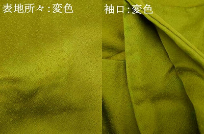 平和屋着物■訪問着　枝花文　暈し染め　銀彩　正絹　逸品　AABH4517fw