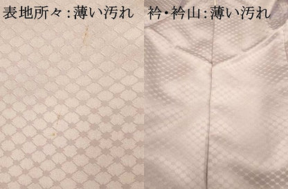 平和屋着物■訪問着　飛鶴流水文　暈し染め　金彩　洗える着物　AABH4544fw