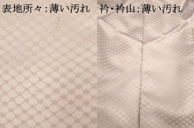 平和屋着物■訪問着　飛鶴流水文　暈し染め　金彩　洗える着物　AABH4544fw