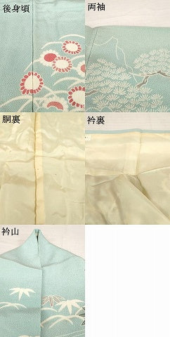 平和屋着物●訪問着　友禅　御所時文様　鬼しぼ縮緬　正絹　逸品　AABH4587ck