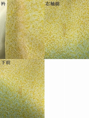 平和屋着物●訪問着　友禅　駒刺繍　草花文　暈し染め　金彩　正絹　逸品　AABH4677fy
