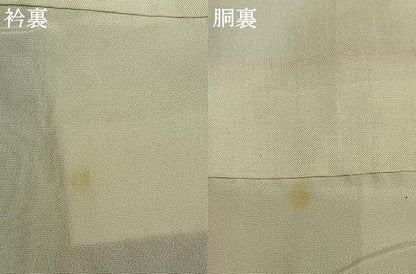 平和屋着物●訪問着　型染め　草花文　鬼しぼ縮緬　正絹　逸品　AABH4709fy