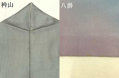 平和屋着物●訪問着　紬地　舞桜文　ゑり善扱い　正絹　逸品　AABH4752fy