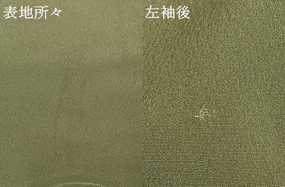 平和屋着物●上質な色無地　雪芝地紋　松葉色　正絹　逸品　AABH4859fy