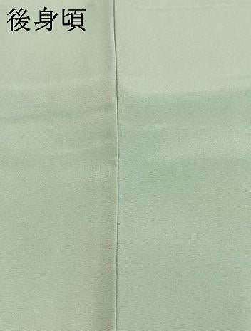 平和屋着物○華道家 假屋崎省吾プロデュース きものの世界 訪問着 枝