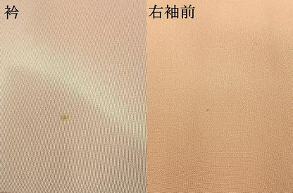 平和屋着物●創業460年・千總 　訪問着　地紙花文　暈し染め　金彩　正絹　逸品　AABH4907fy