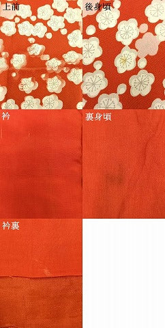 平和屋着物●アンティーク　大正ロマン　長襦袢　袷　舞桜文　半衿刺繍　正絹　逸品　AABH5010fy