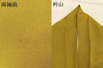 平和屋着物●豪華振袖　草花文　暈し染め　金彩　正絹　逸品　AABH5011fy