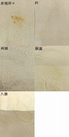 平和屋着物●染色家　岸上純平　色留袖　吉祥花文　暈し染め　銀通し地　正絹　逸品　AABH5038fy