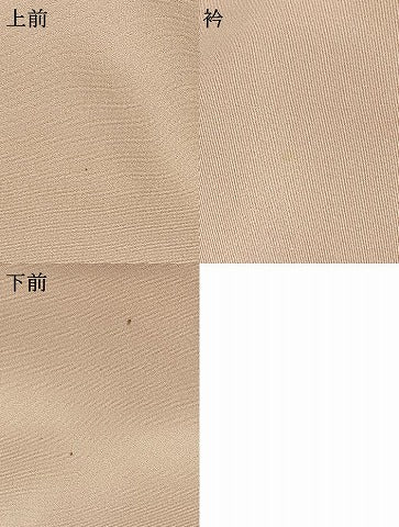平和屋着物●訪問着　手描き　枝花文　暈し染め　金彩　ロング丈　正絹　逸品　AABH5069fy