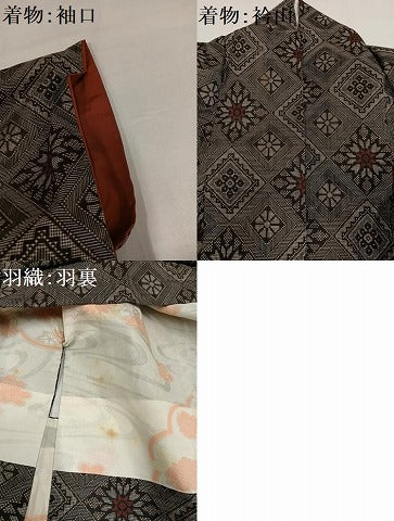 平和屋着物●本場大島紬　龍郷絣　アンサンブル　正絹　逸品　AABH5271ph